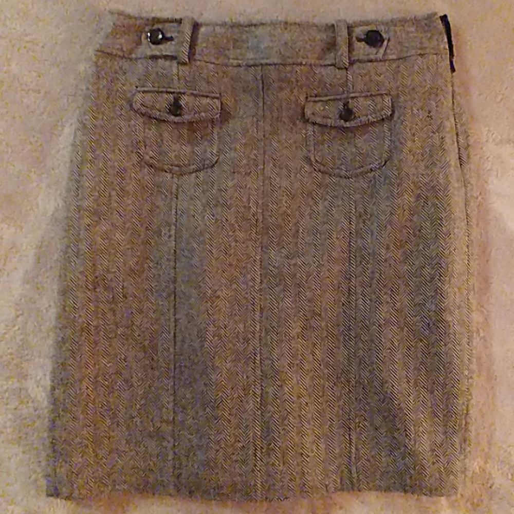 Ann Taylor skirt